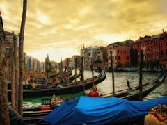 Venice in Light II