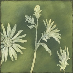 Verdigris Blossoms II