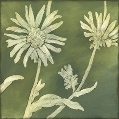 Verdigris Blossoms IV