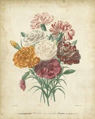 Victorian Bouquet II