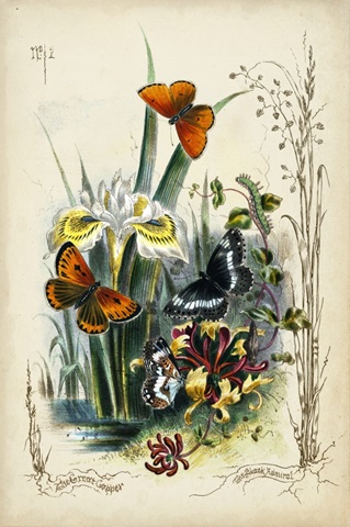 Victorian Butterfly Garden II