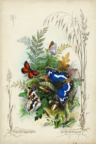 Victorian Butterfly Garden III