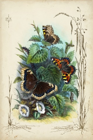 Victorian Butterfly Garden IV
