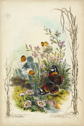 Victorian Butterfly Garden IX