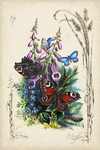 Victorian Butterfly Garden VI