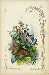 Victorian Butterfly Garden VII