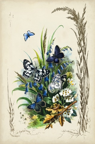 Victorian Butterfly Garden VIII