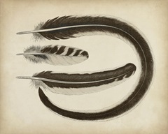 Vintage Feathers III