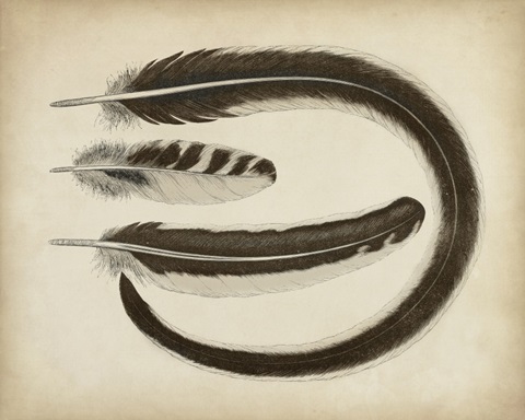 Vintage Feathers III