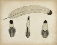 Vintage Feathers V
