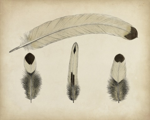Vintage Feathers V