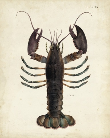 Vintage Lobster