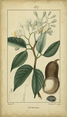 Vintage Turpin Botanical I