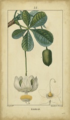 Vintage Turpin Botanical II