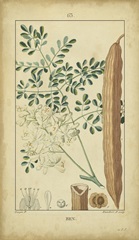 Vintage Turpin Botanical V