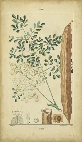 Vintage Turpin Botanical V