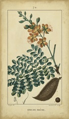 Vintage Turpin Botanical VI