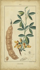 Vintage Turpin Botanical VIII