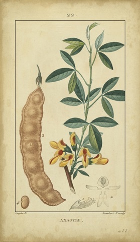 Vintage Turpin Botanical VIII