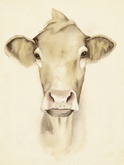 Watercolor Barn Animals III