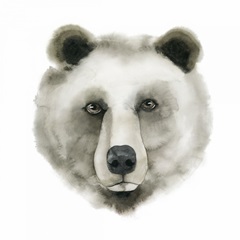 Watercolor Bear