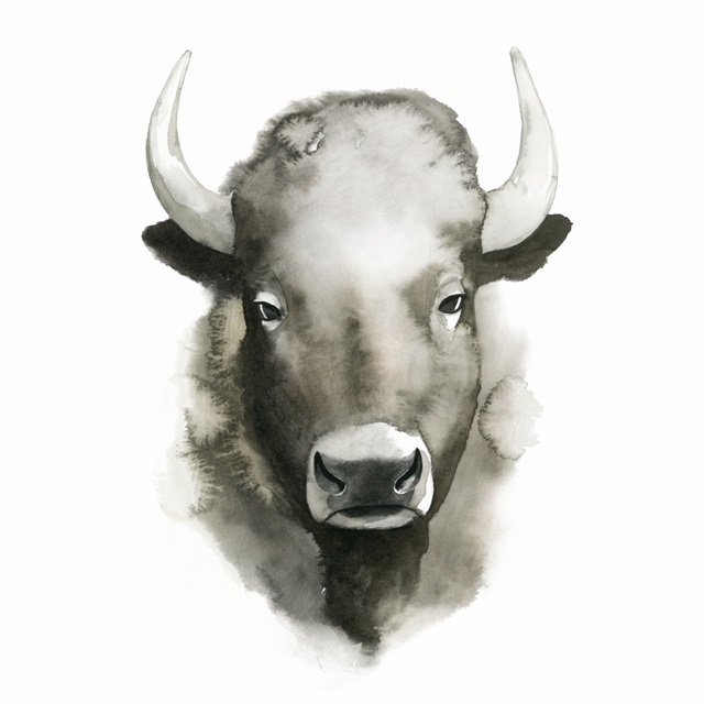 Watercolor Buffalo