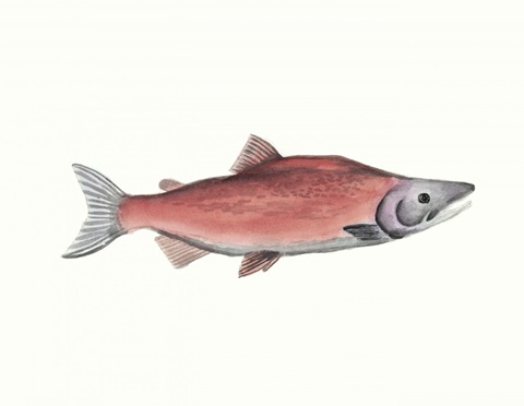 Watercolor Deep Sea Fish III