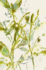 Watercolor Leaves II