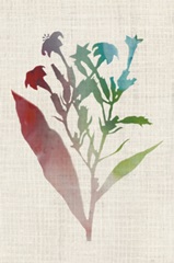 Watercolor Plants II