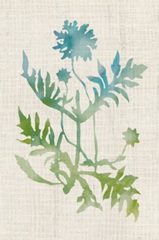 Watercolor Plants III