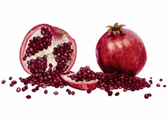 Watercolor Pomegranate