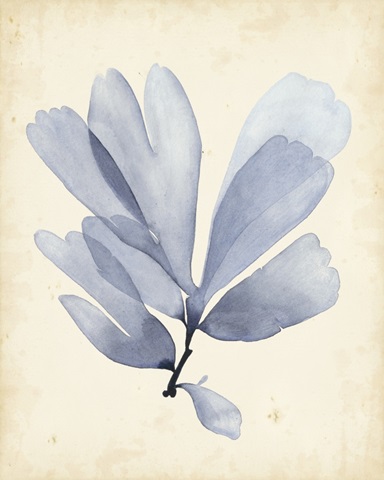 Watercolor Sea Grass II