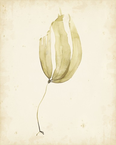 Watercolor Sea Grass III