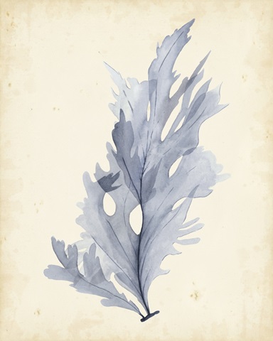 Watercolor Sea Grass VI