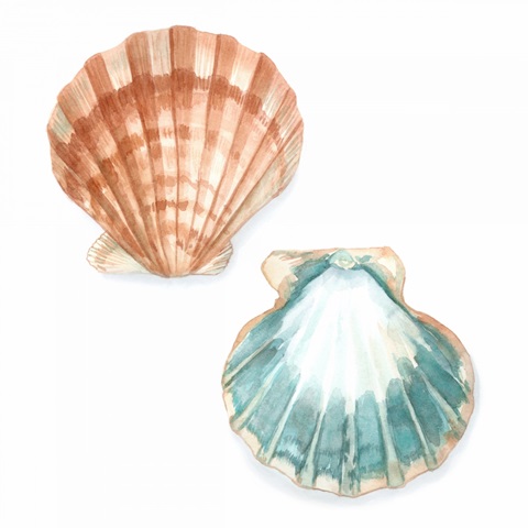 Watercolor Shells I
