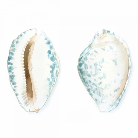 Watercolor Shells VI