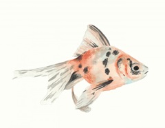 Watercolor Tropical Fish I