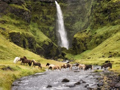 Waterfall Horses II