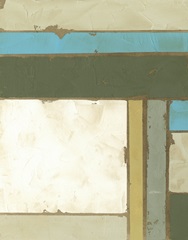 Weathered Paneling I