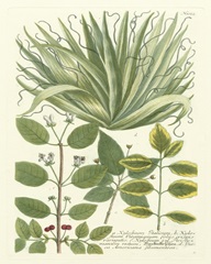 Weinmann Greenery IV