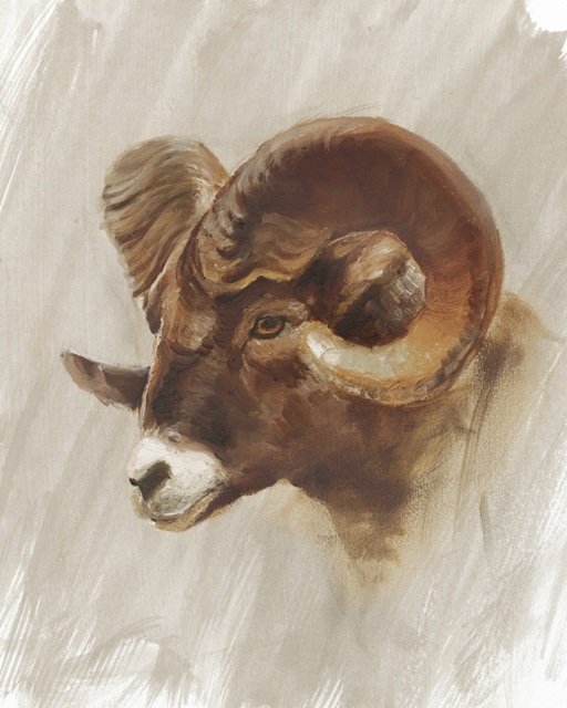 Western American Animal Study I