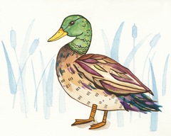 Wetland Mallard I