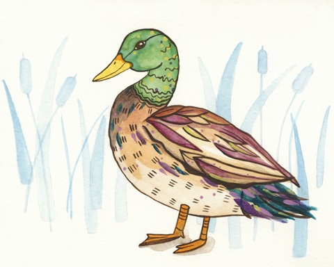 Wetland Mallard I