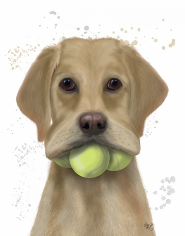 Yellow Labrador and Tennis Balls