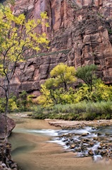 Zion Autumn II