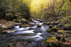 Nightfall on Tremont I