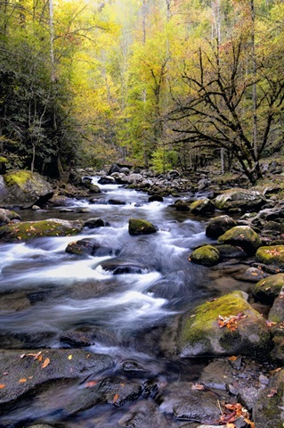 Nightfall on Tremont II