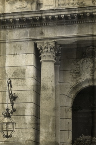 Ornate Architecture I