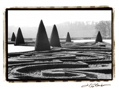 Palace of Versailles Garden I