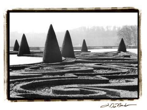 Palace of Versailles Garden I